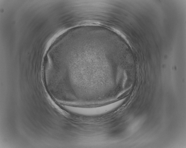 X0000071811379200607141559