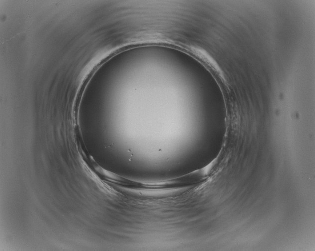 X0000071811380200607141559