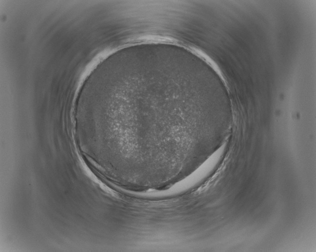 X0000071811381200607141559