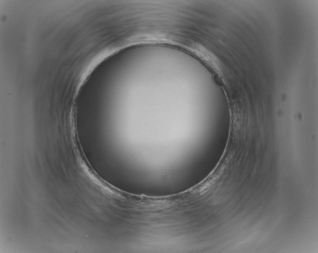 X0000071811382200607141559