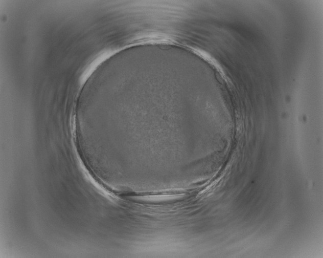 X0000071811383200607141559