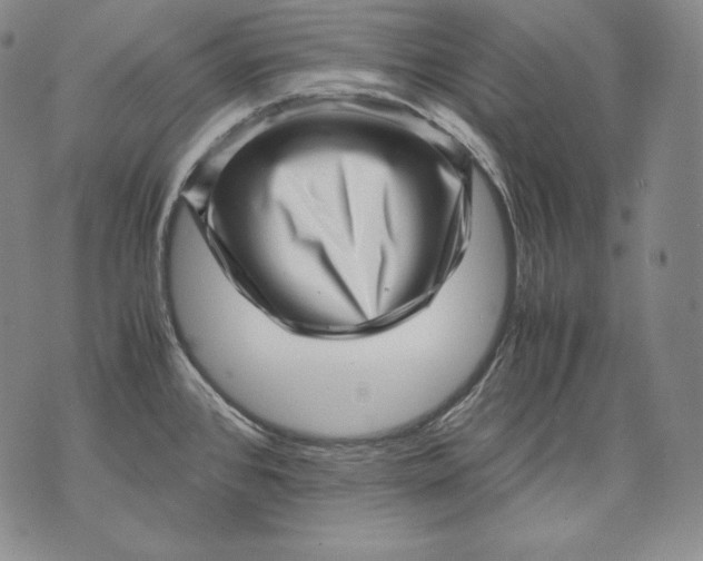 X0000071811384200607141559