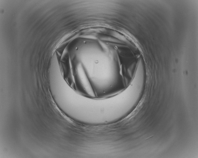 X0000071811385200607141559