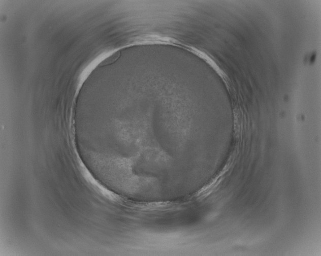 X0000071811387200607141559