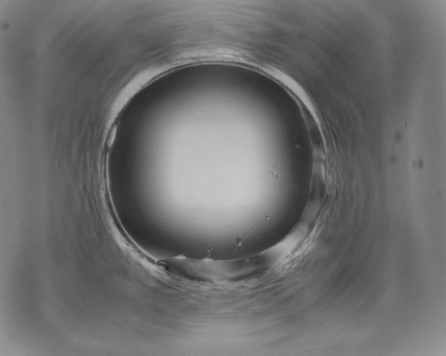 X0000071811389200607141559