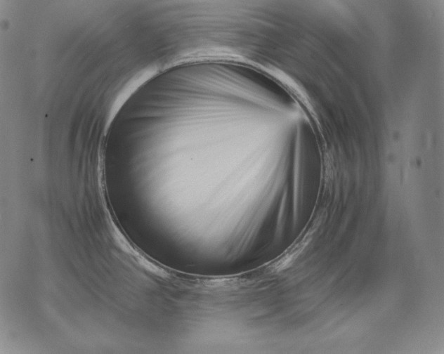 X0000071811390200607141559