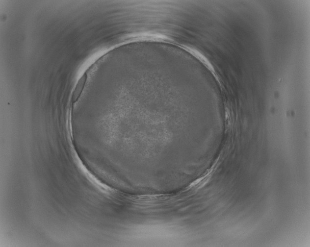 X0000071811391200607141559