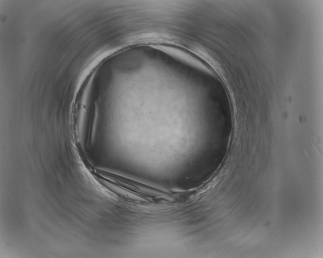 X0000071811392200607141559