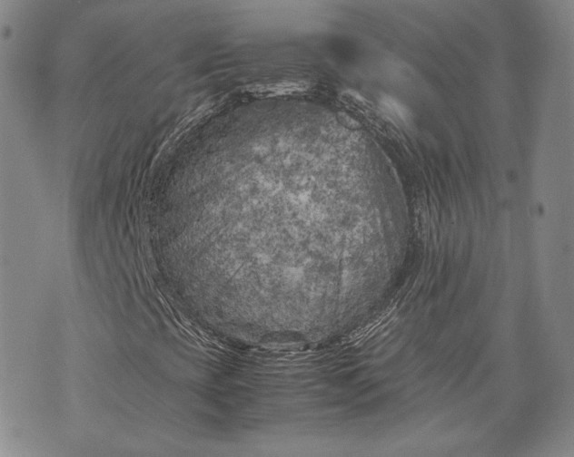 X0000071811393200607141558