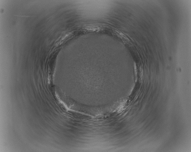 X0000071811394200607141558