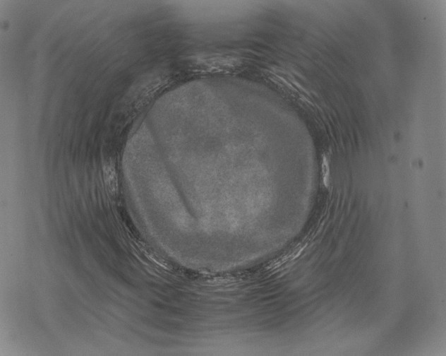 X0000071811395200607141558