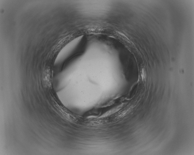 X0000071811396200607141558