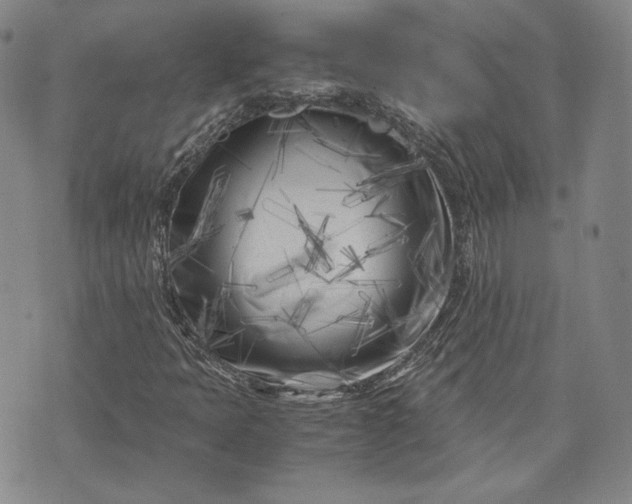 X0000071811397200607141558