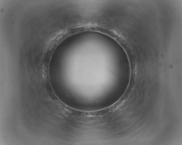 X0000071811398200607141558