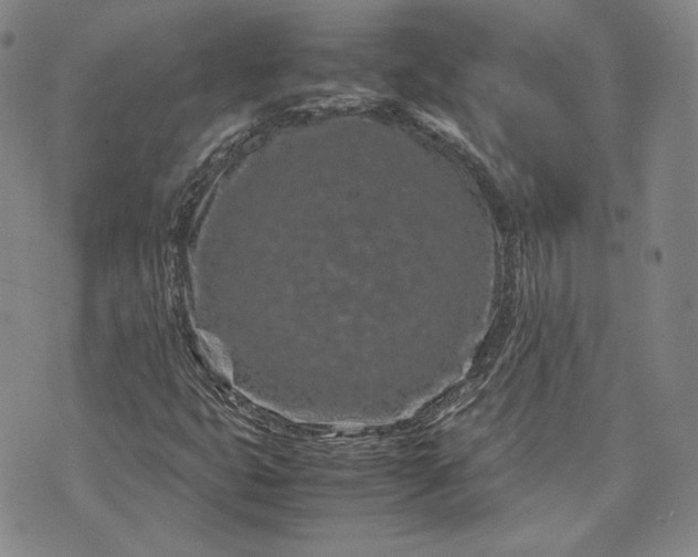 X0000071811399200607141558