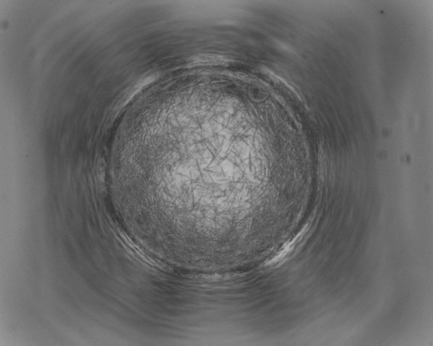 X0000071811401200607141558