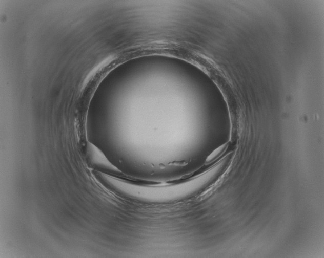 X0000071811402200607141559