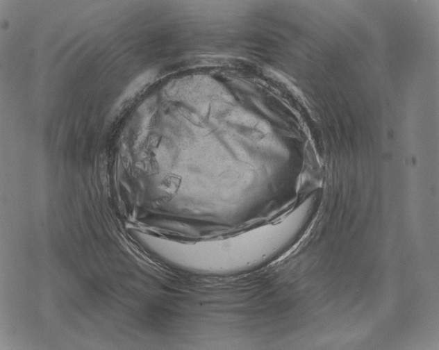 X0000071811403200607141559