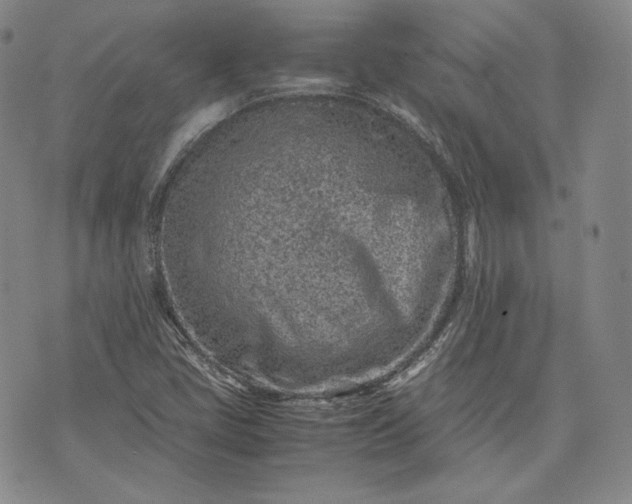 X0000071811405200607141559