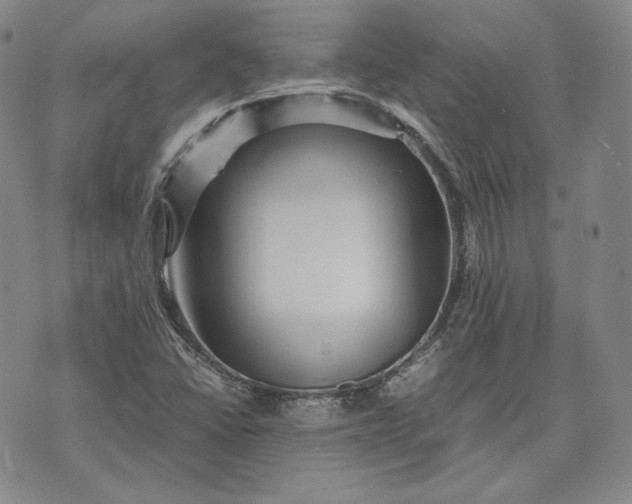 X0000071811406200607141559