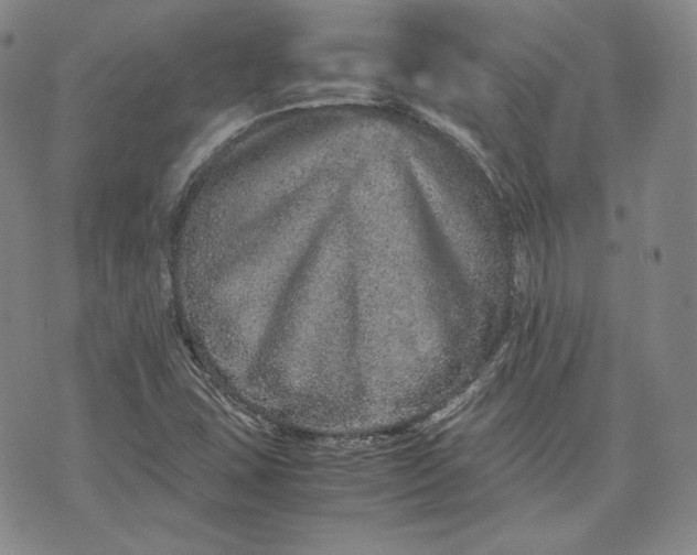 X0000071811407200607141559