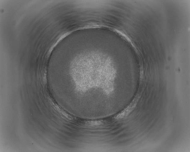 X0000071811409200607141559