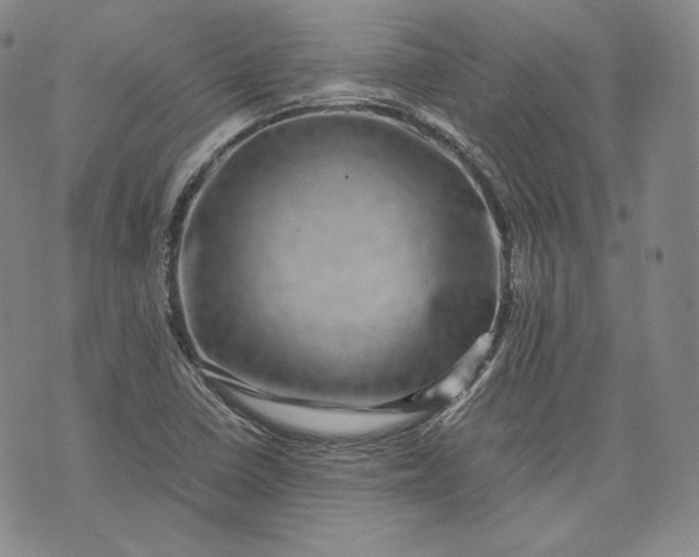 X0000071811410200607141559