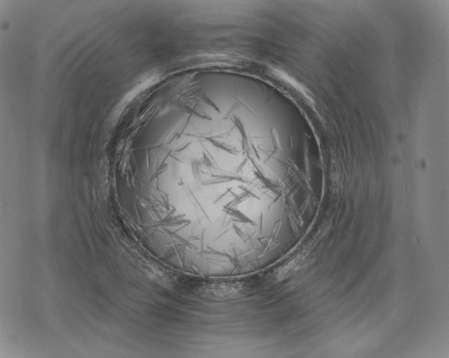 X0000071811411200607141559