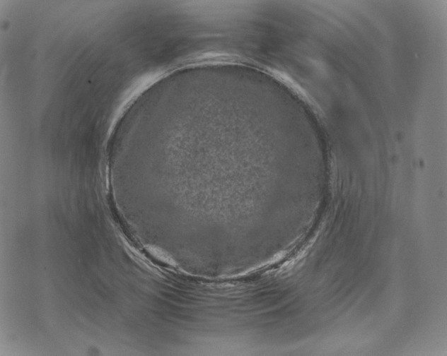 X0000071811413200607141559