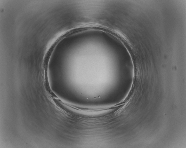 X0000071811414200607141559