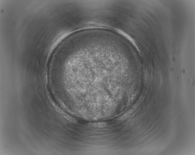 X0000071811415200607141559