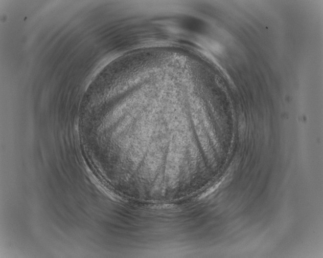 X0000071811417200607141559