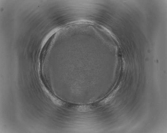 X0000071811418200607141559