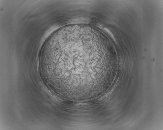 X0000071811419200607141559