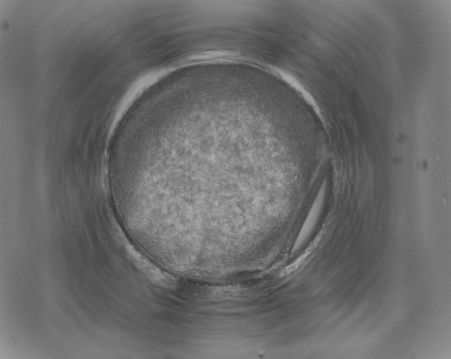 X0000071811421200607141559