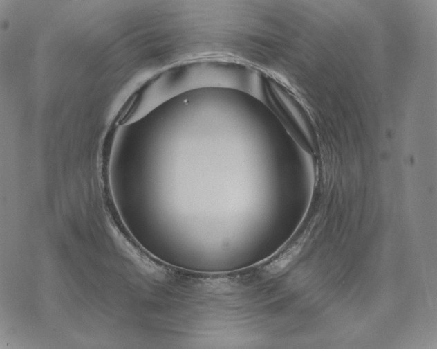 X0000071811422200607141559