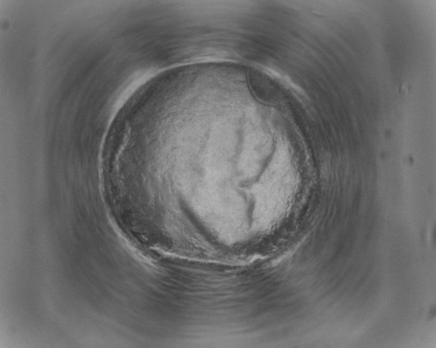 X0000071811423200607141559