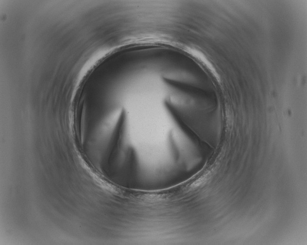 X0000071811424200607141559