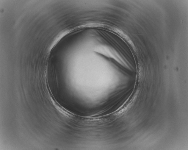 X0000071811425200607141559