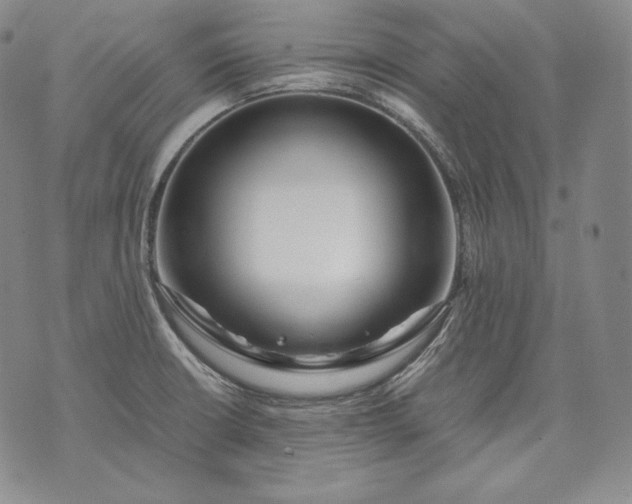 X0000071811426200607141559