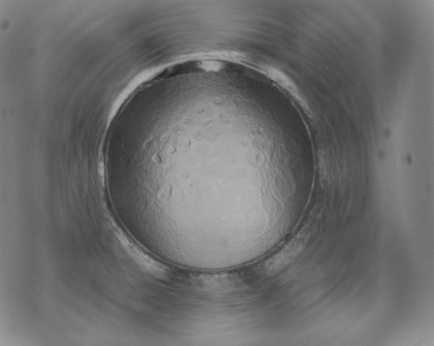 X0000071811428200607141559