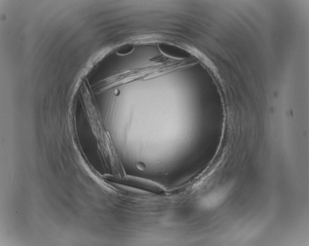 X0000071811429200607141559