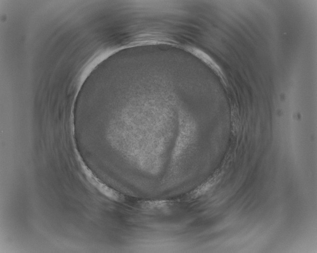 X0000071811431200607141559