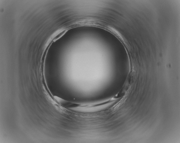 X0000071811434200607141559