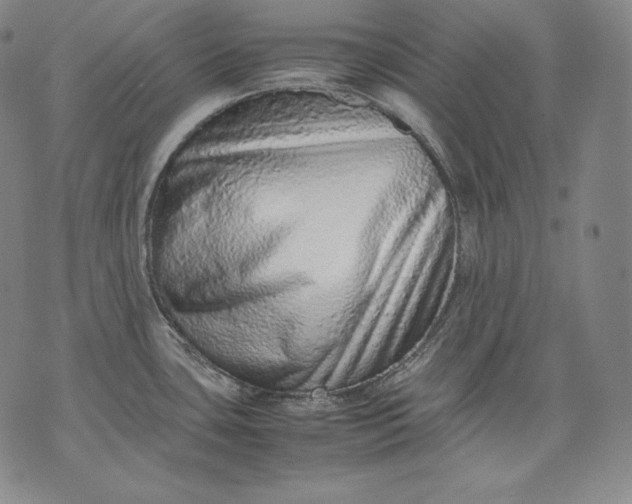 X0000071811435200607141559