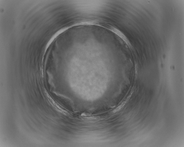 X0000071811436200607141559