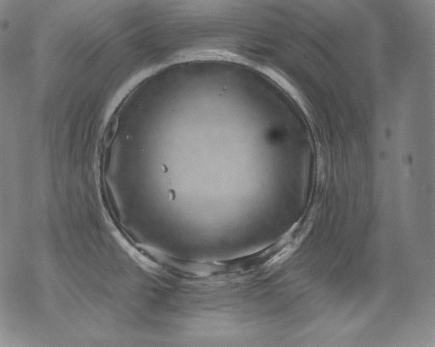 X0000071811438200607141559