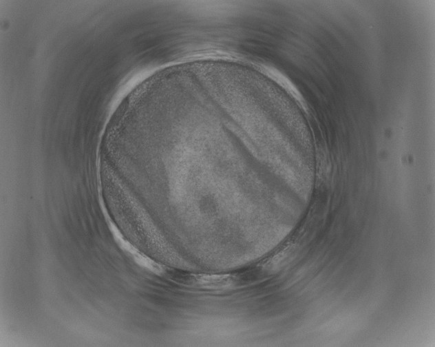 X0000071811439200607141559