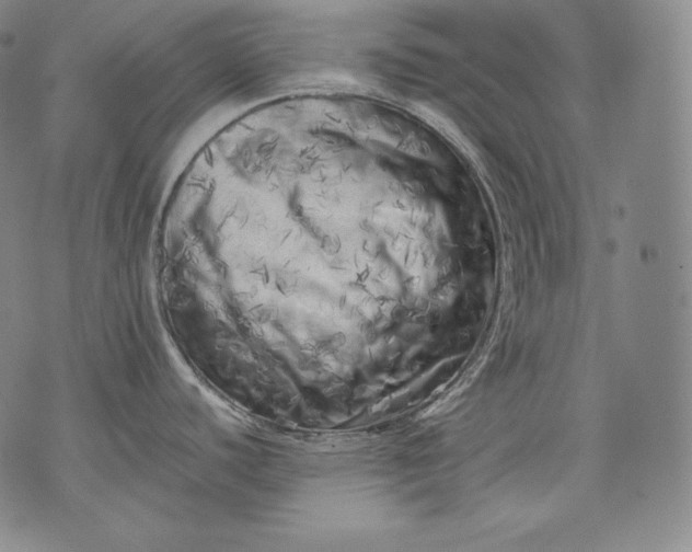 X0000071811440200607141559