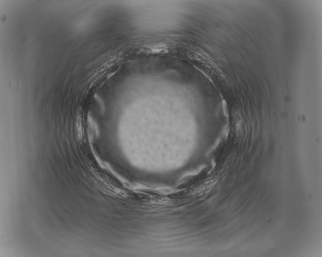 X0000071811442200607141558